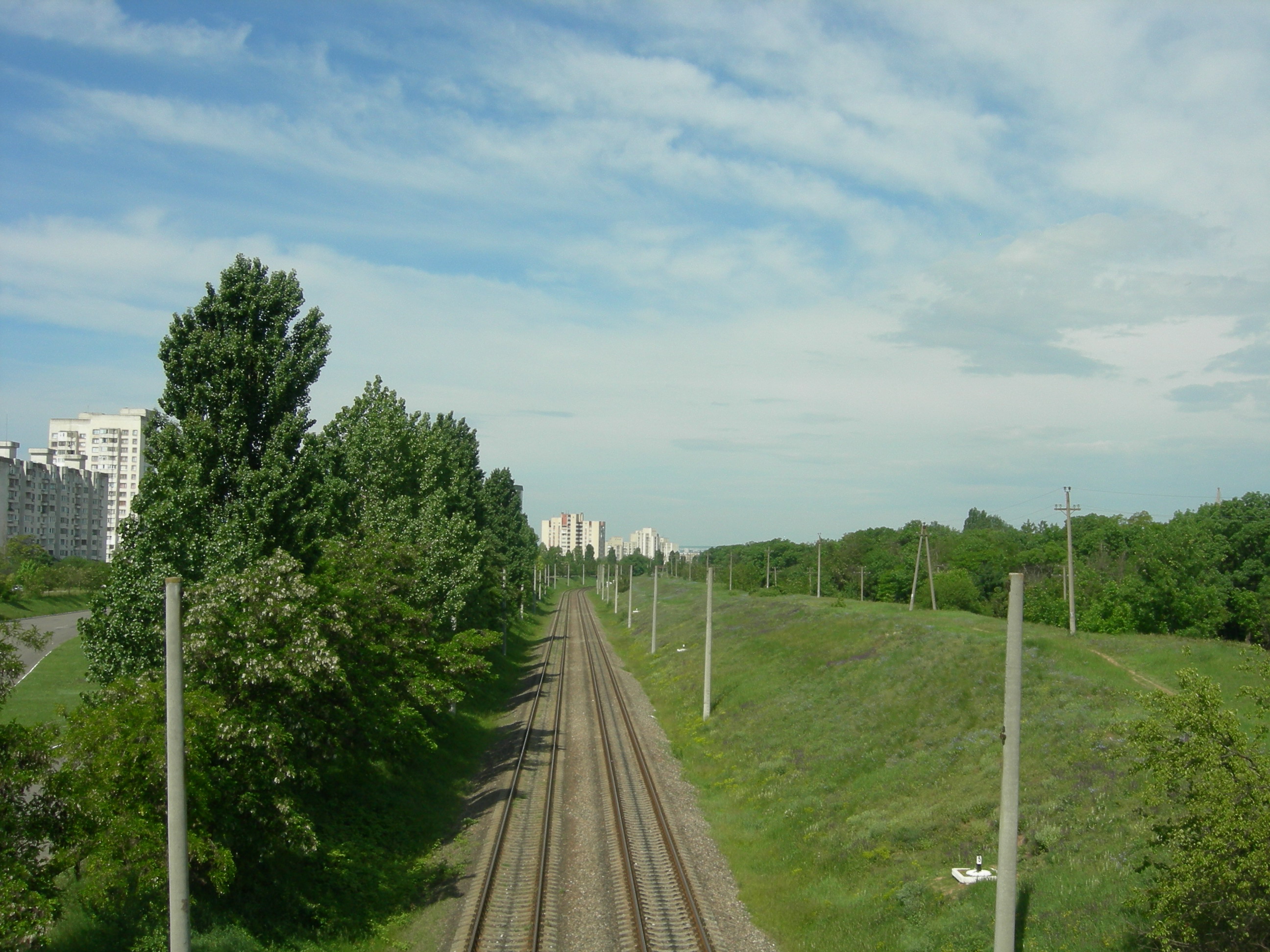 Лесопосадка на Балке