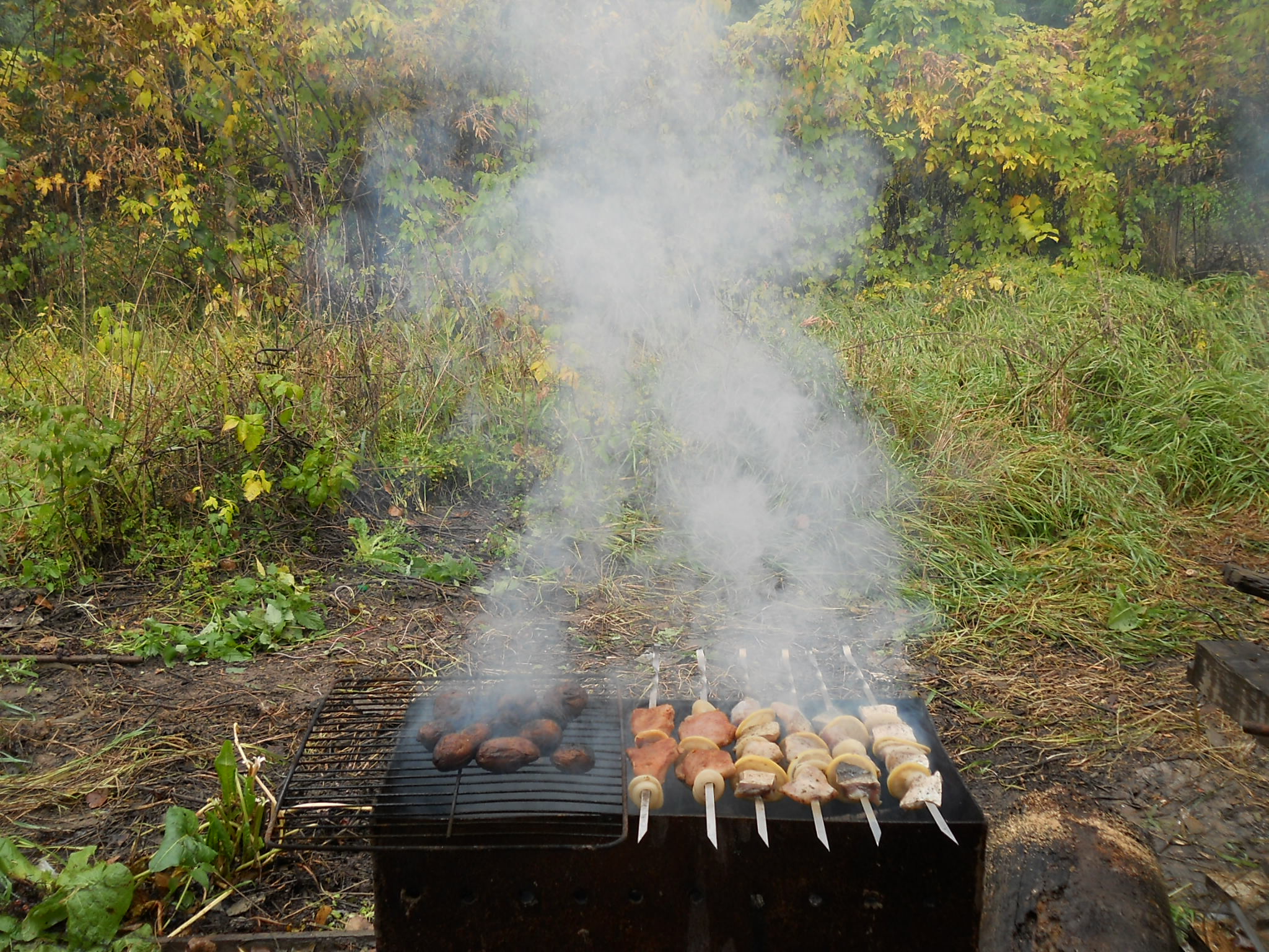Лес на правом берегу