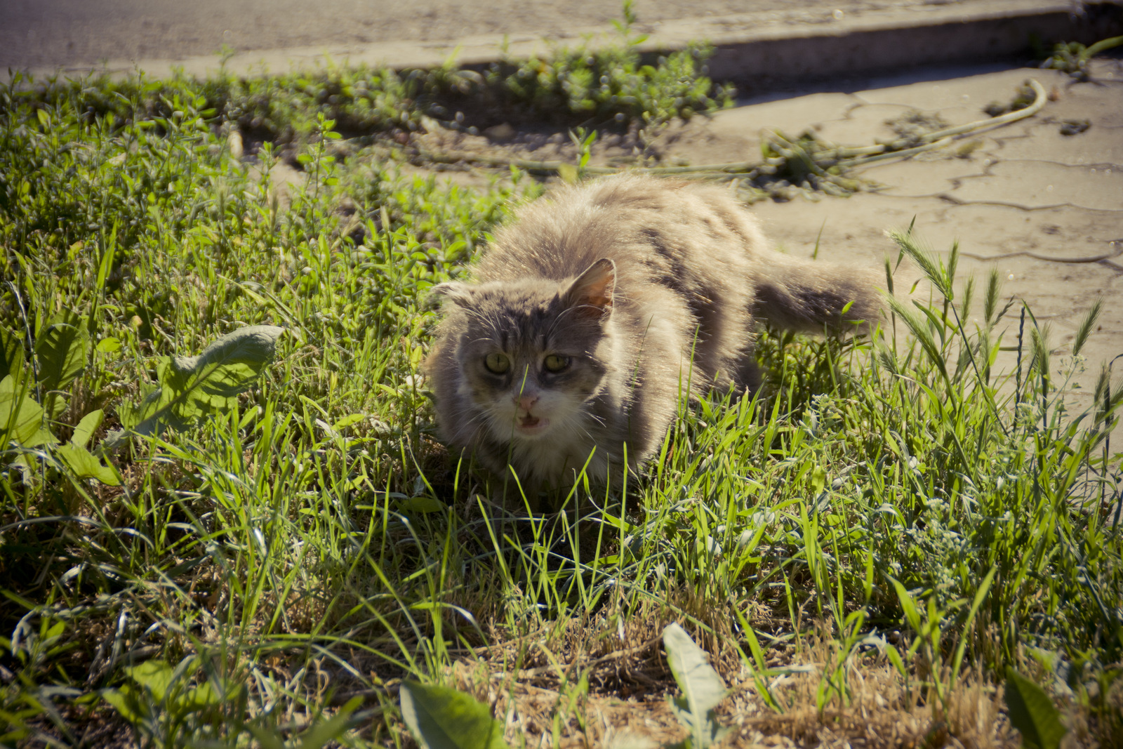 MG 283842 Easy Resize com