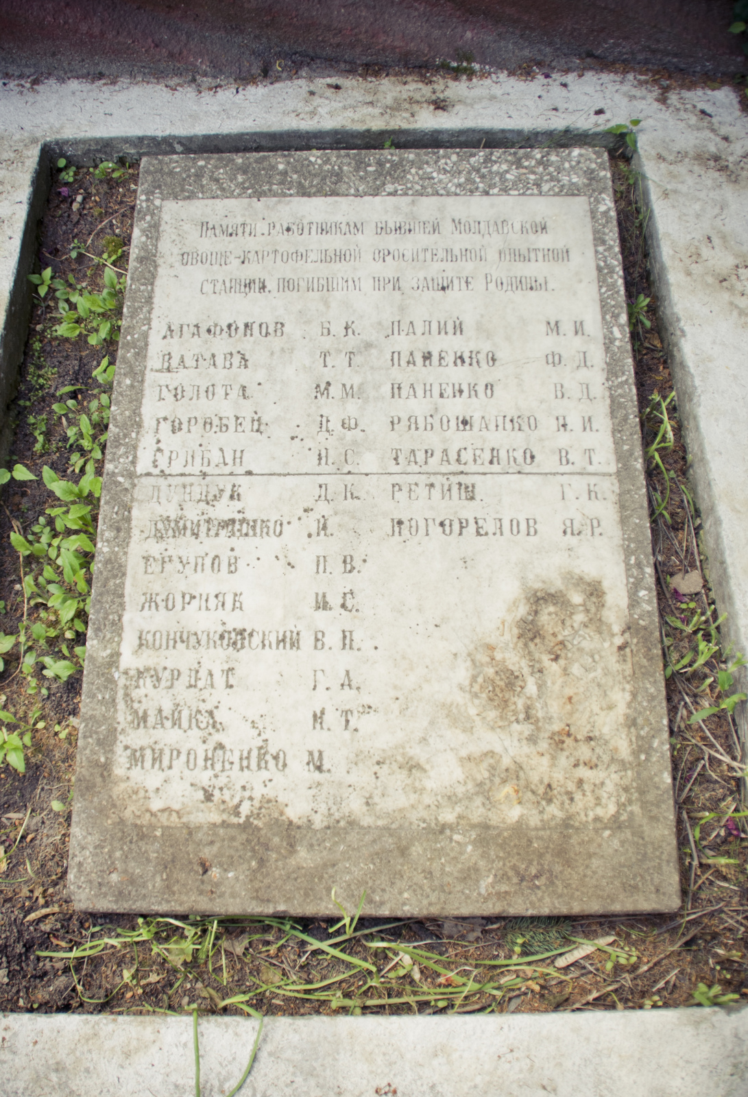 MG 289282 Easy Resize com