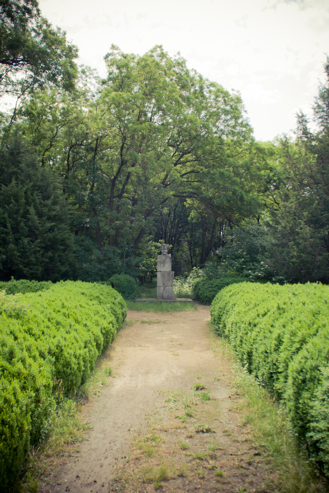 MG 289887 Easy Resize com