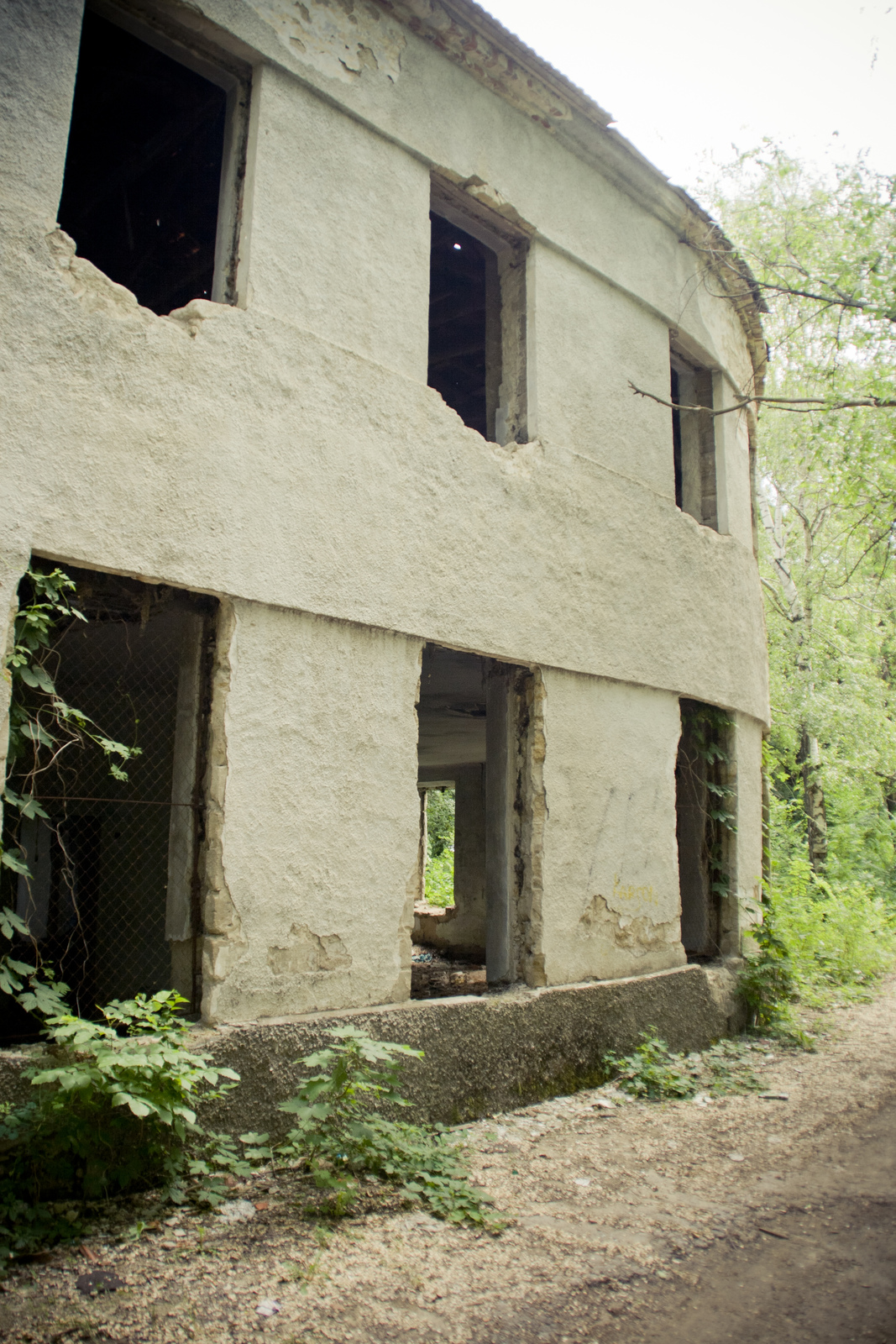 MG 290089 Easy Resize com