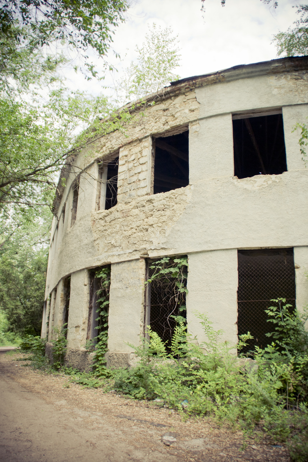 MG 290391 Easy Resize com