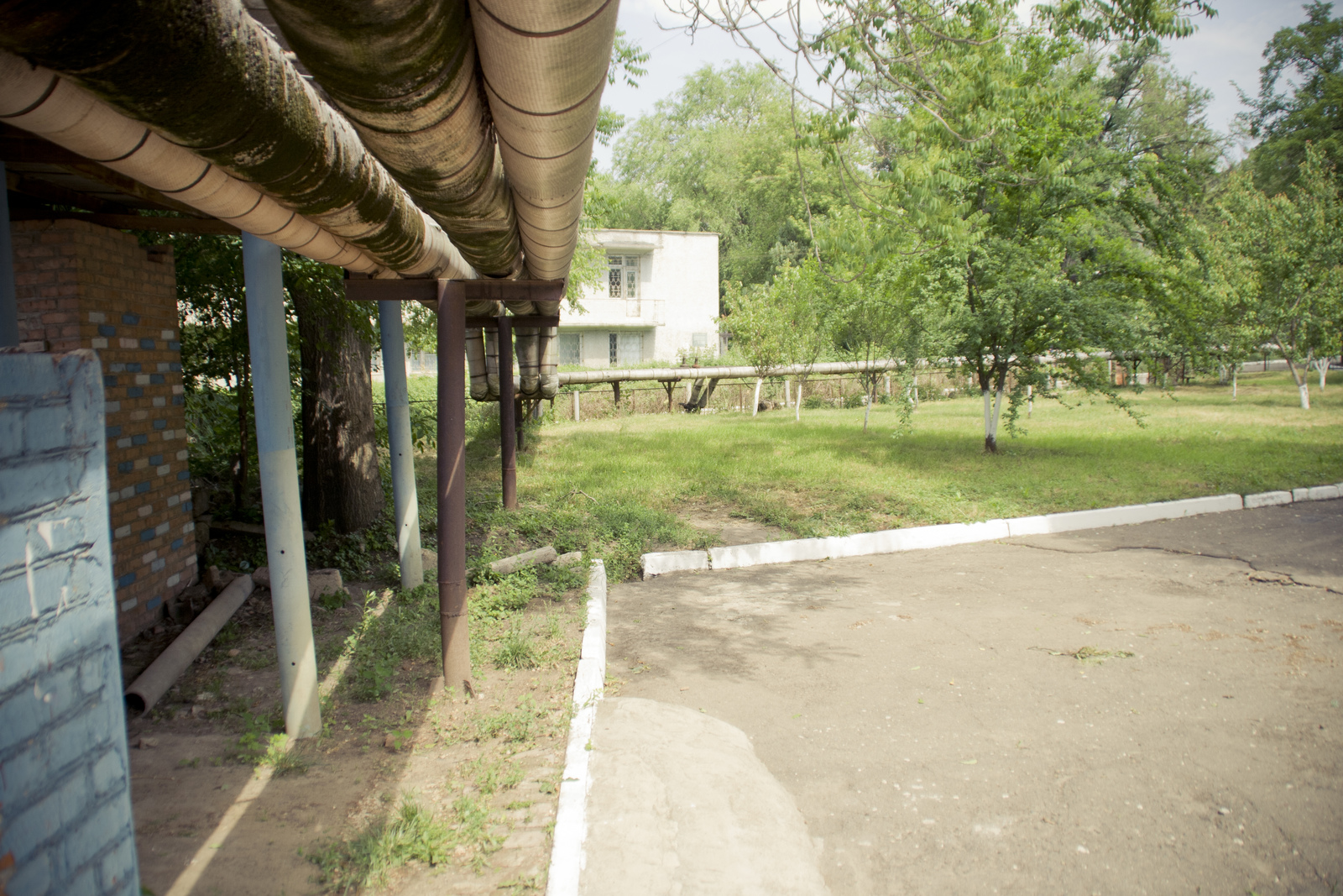 MG 290693 Easy Resize com