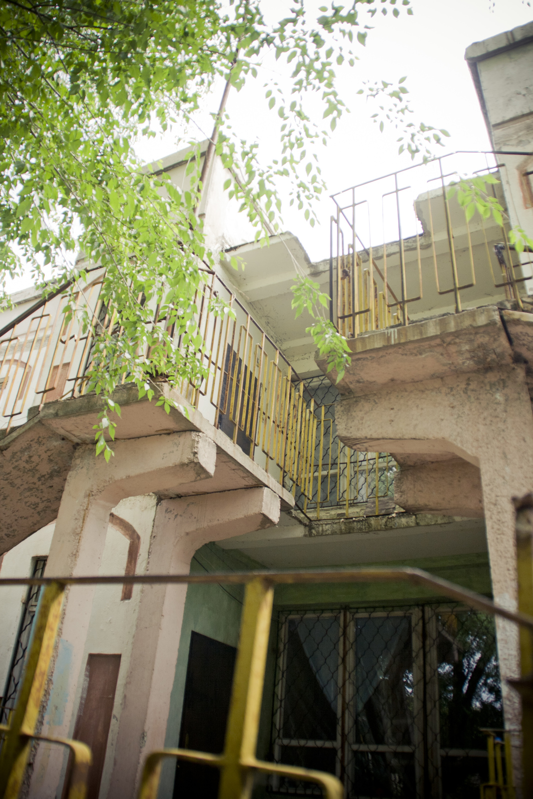 MG 290895 Easy Resize com