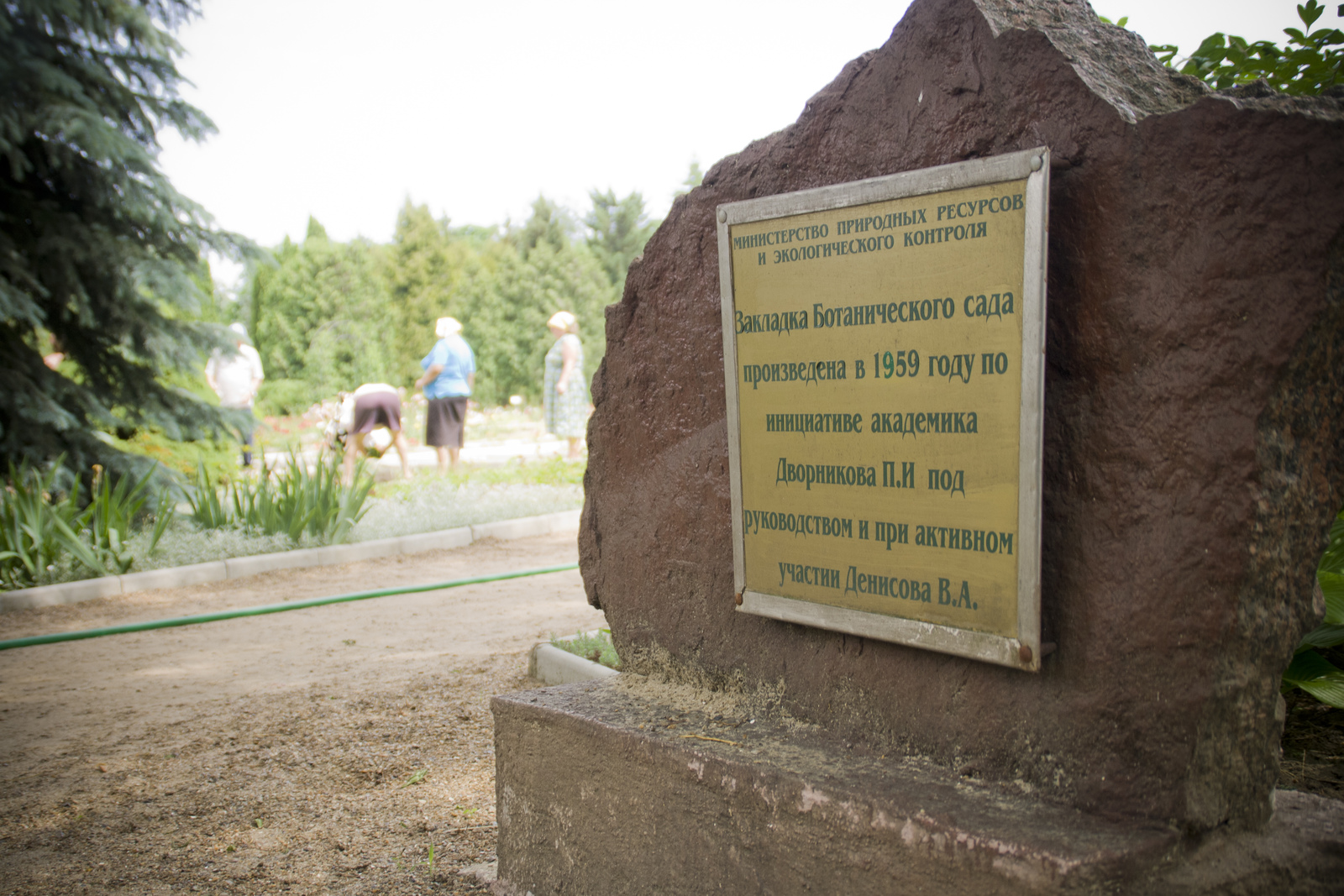 MG 291296 Easy Resize com