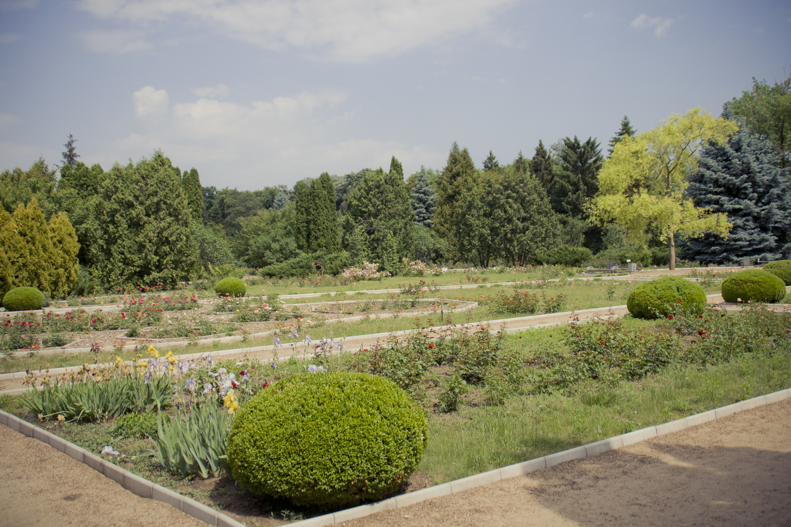 MG 291397 Easy Resize com