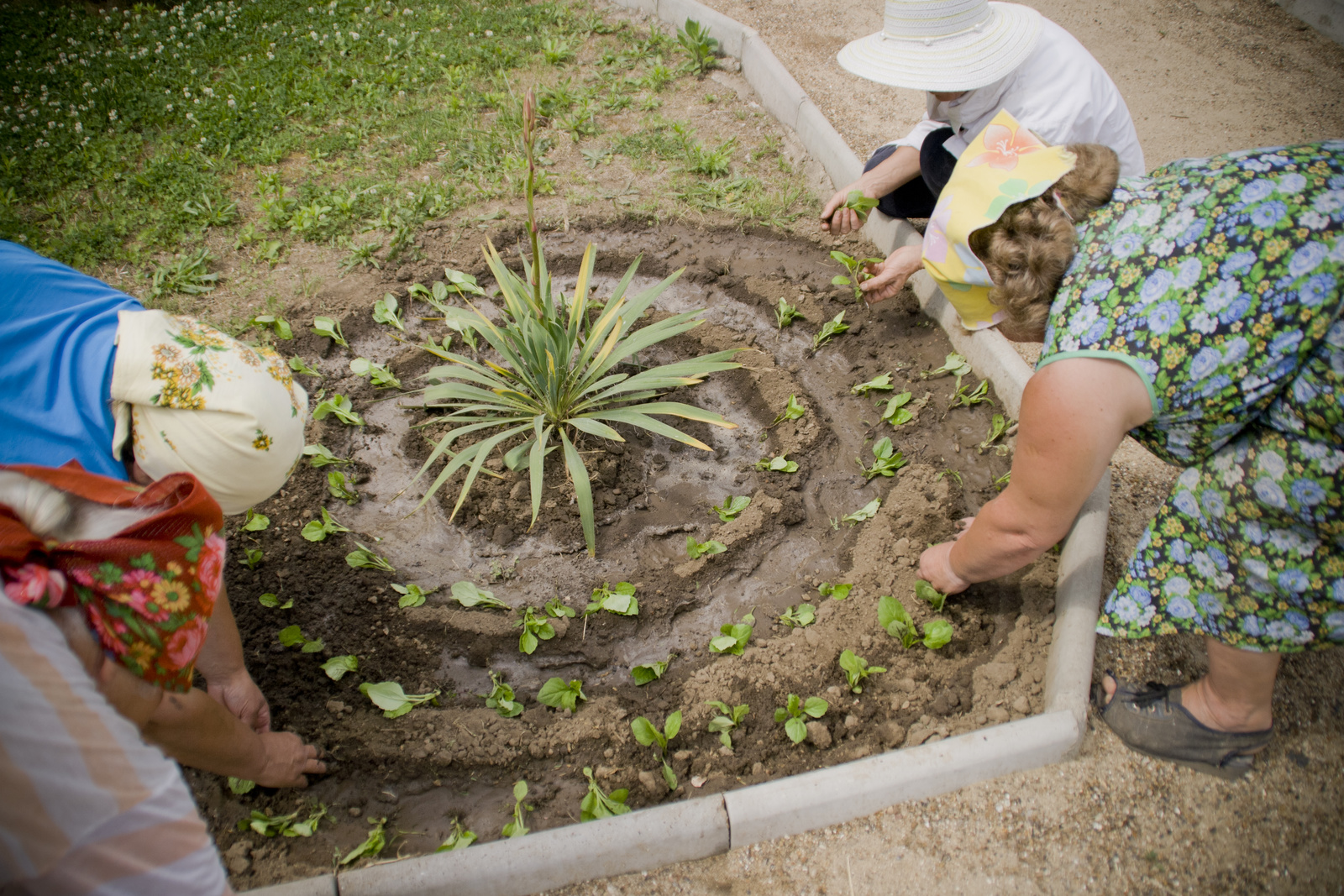 MG 291498 Easy Resize com