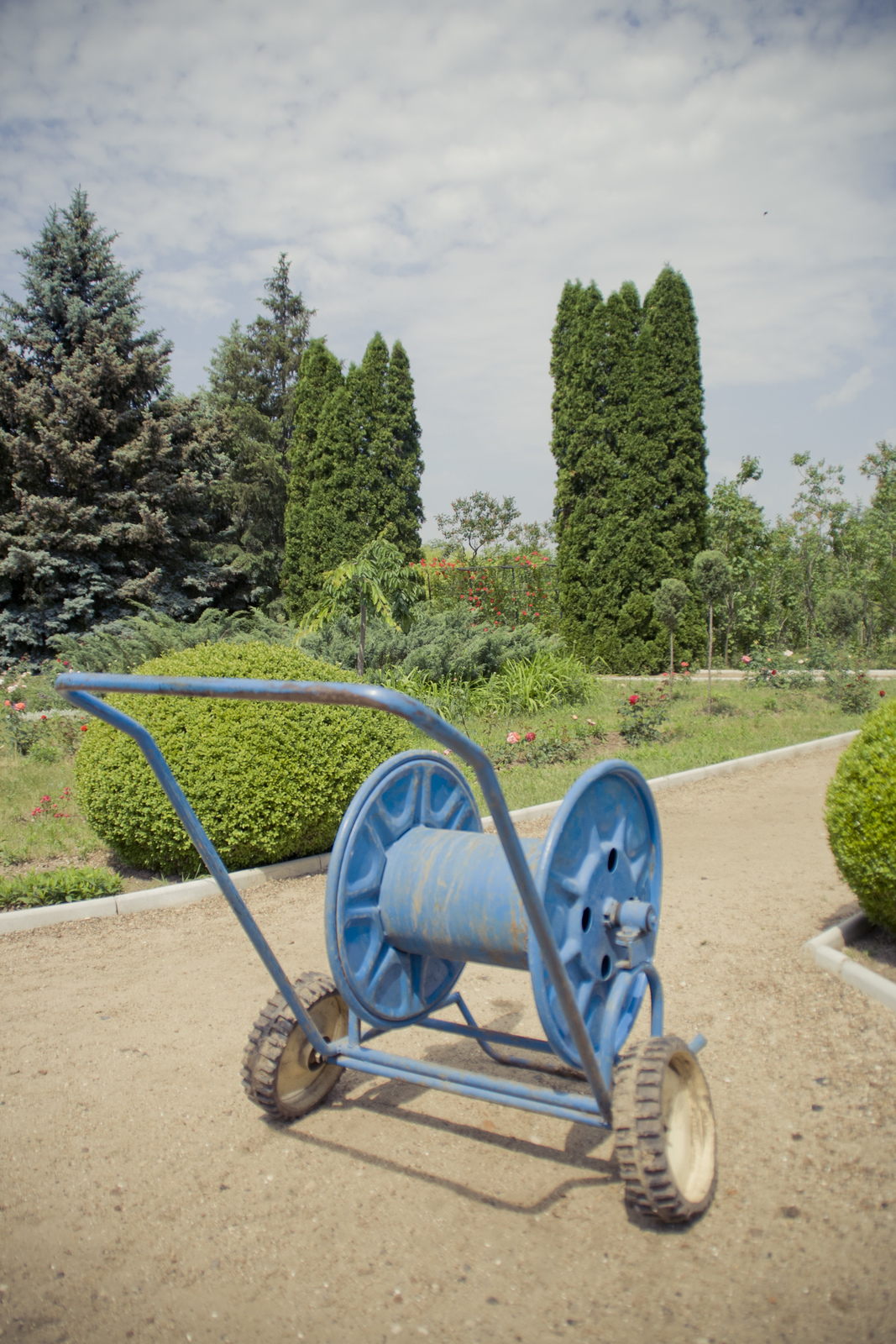 MG 2916100 Easy Resize com