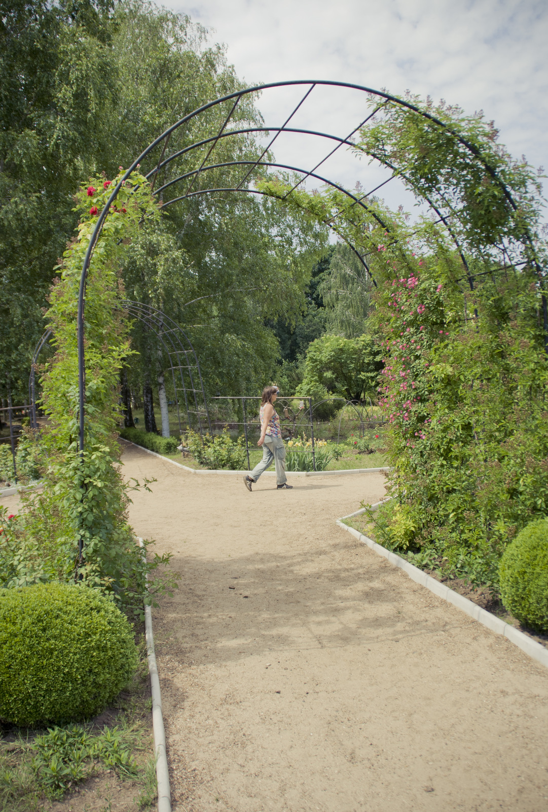 MG 2917101 Easy Resize com