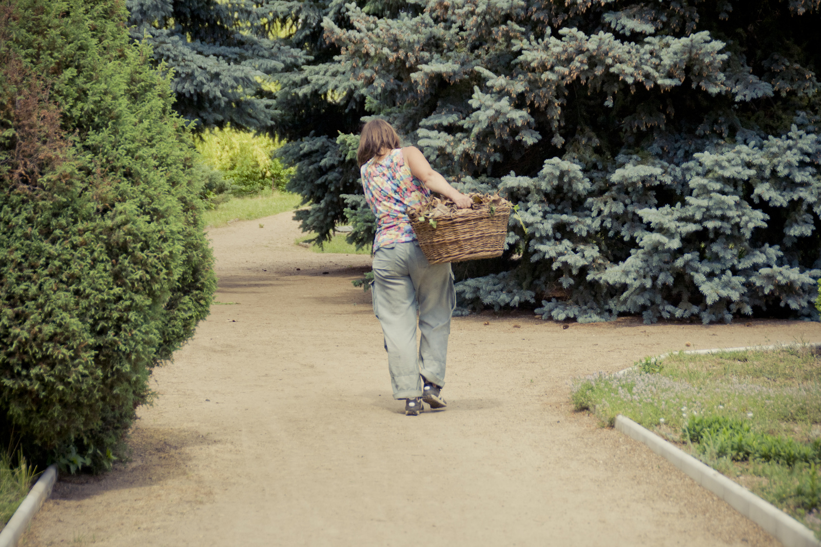 MG 2918102 Easy Resize com