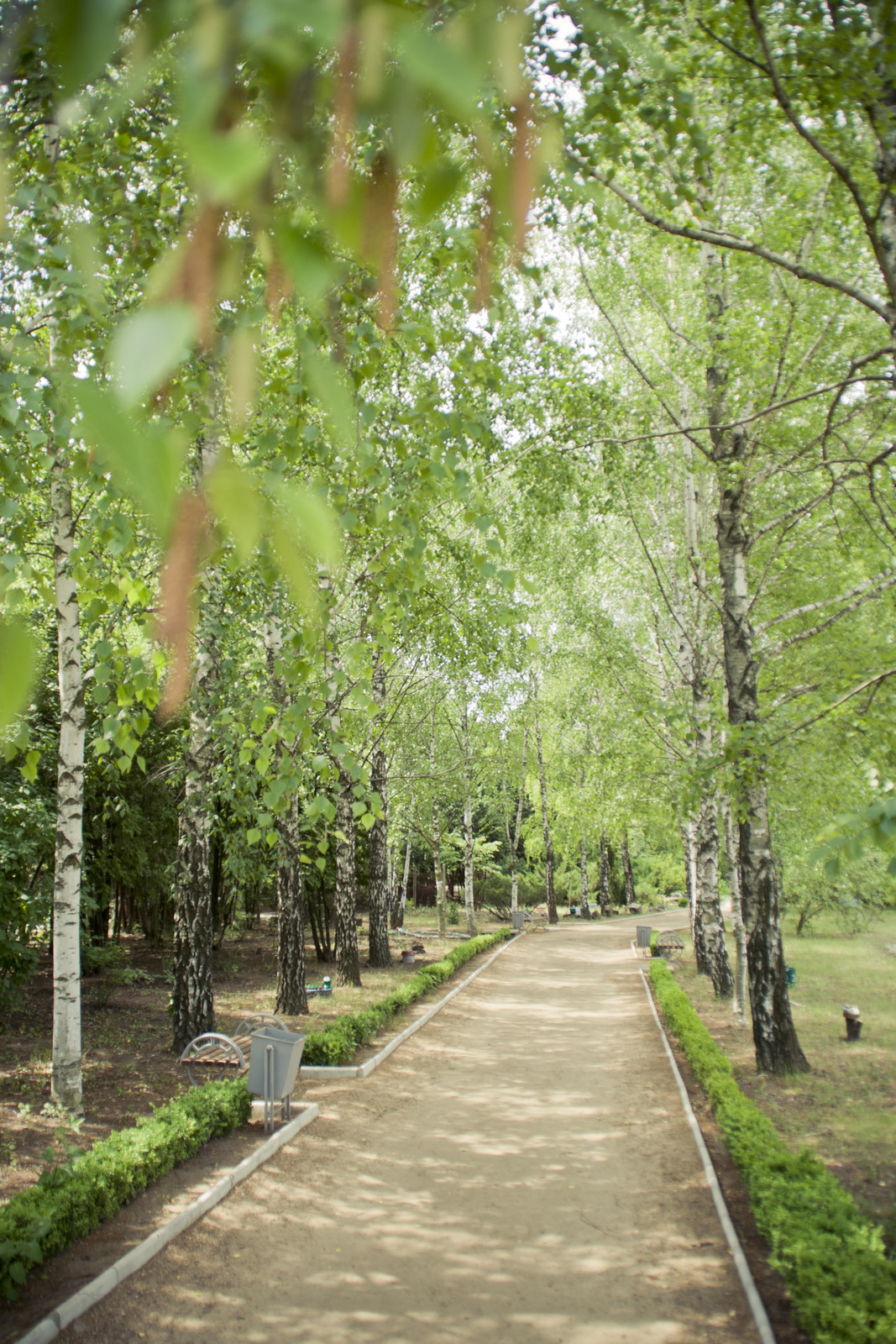 MG 2921103 Easy Resize com