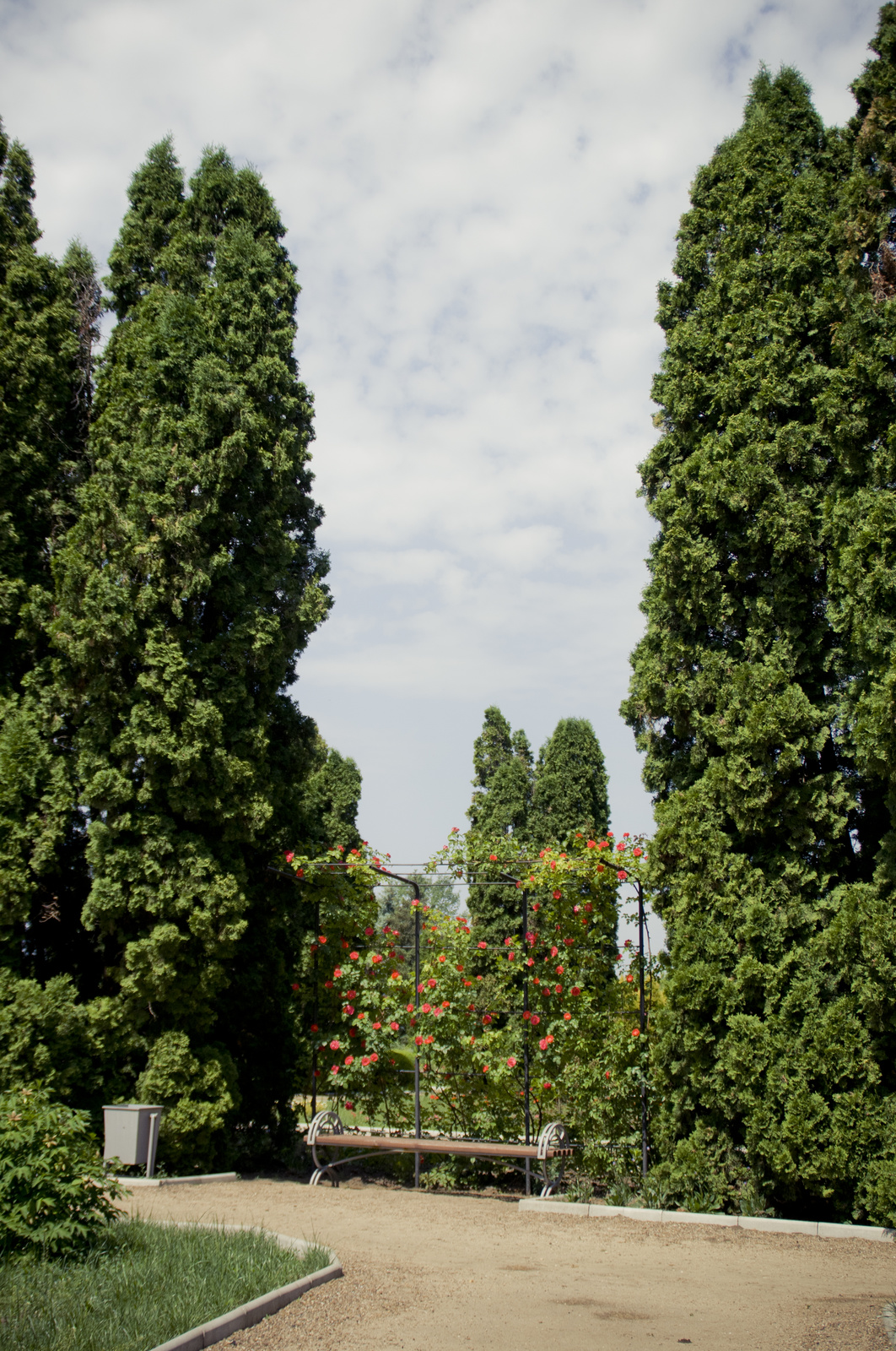 MG 2929109 Easy Resize com