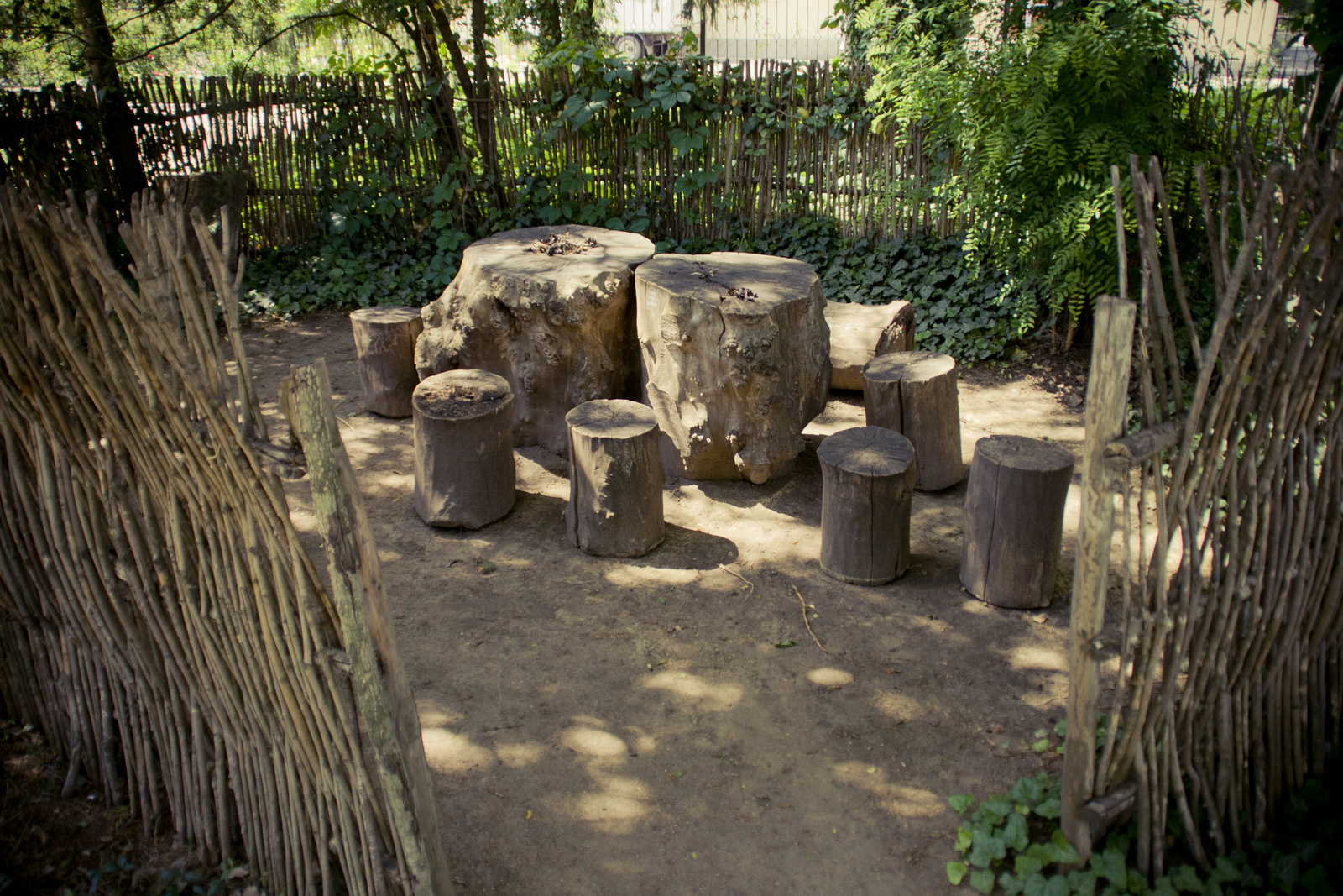 MG 2931111 Easy Resize com