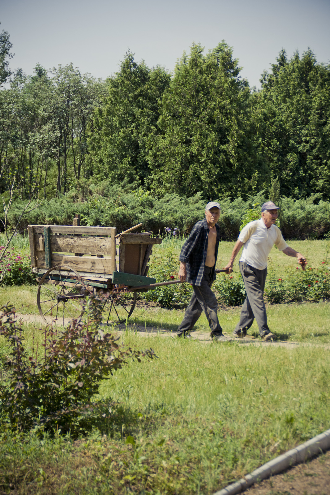 MG 2933113 Easy Resize com