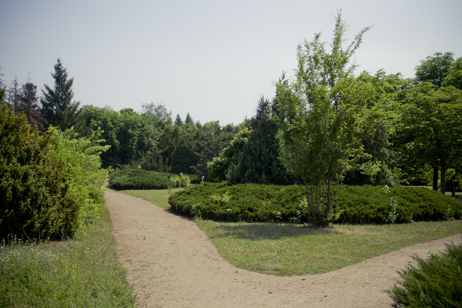 MG 2934114 Easy Resize com