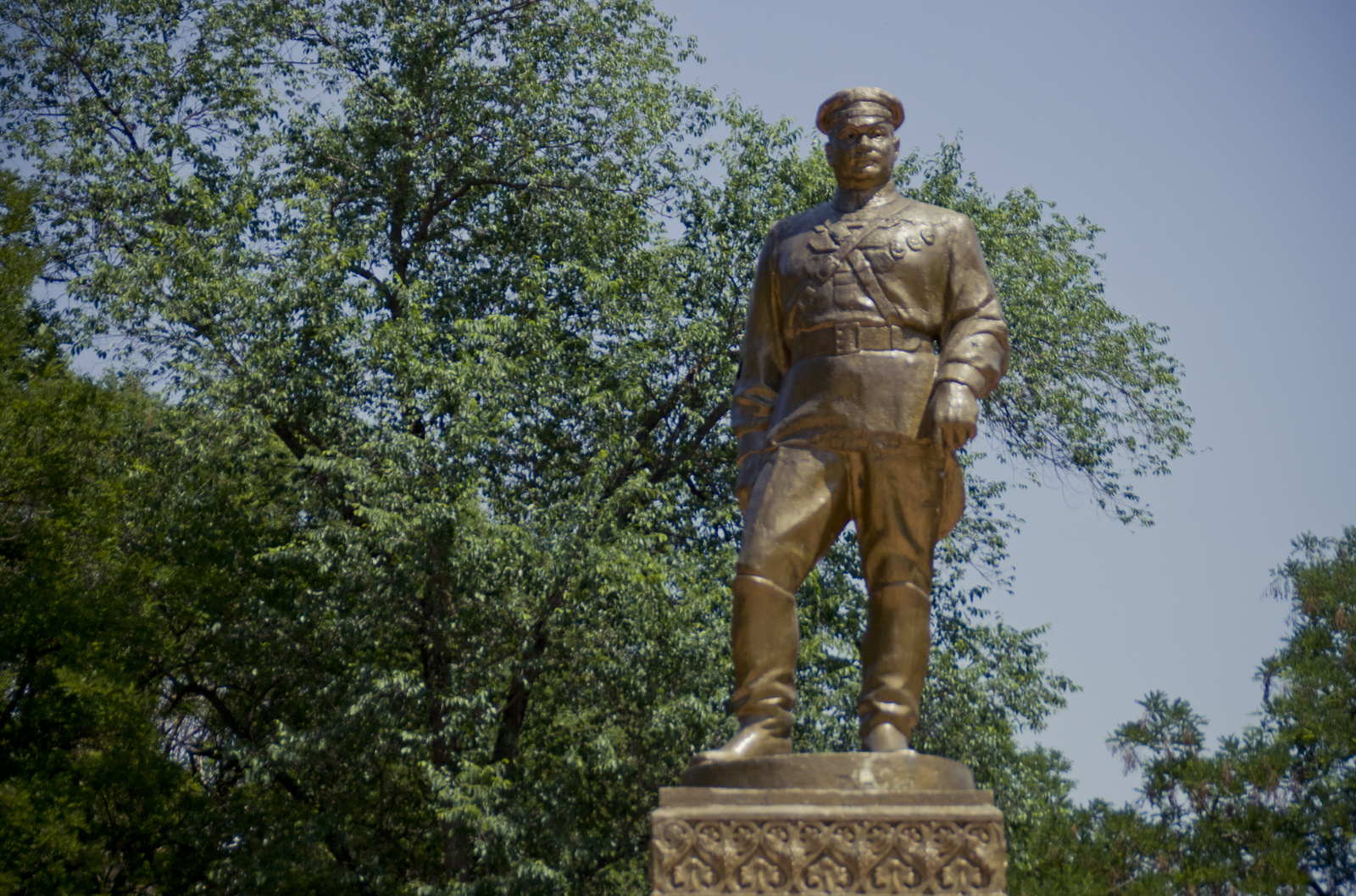 MG 2951127 Easy Resize com