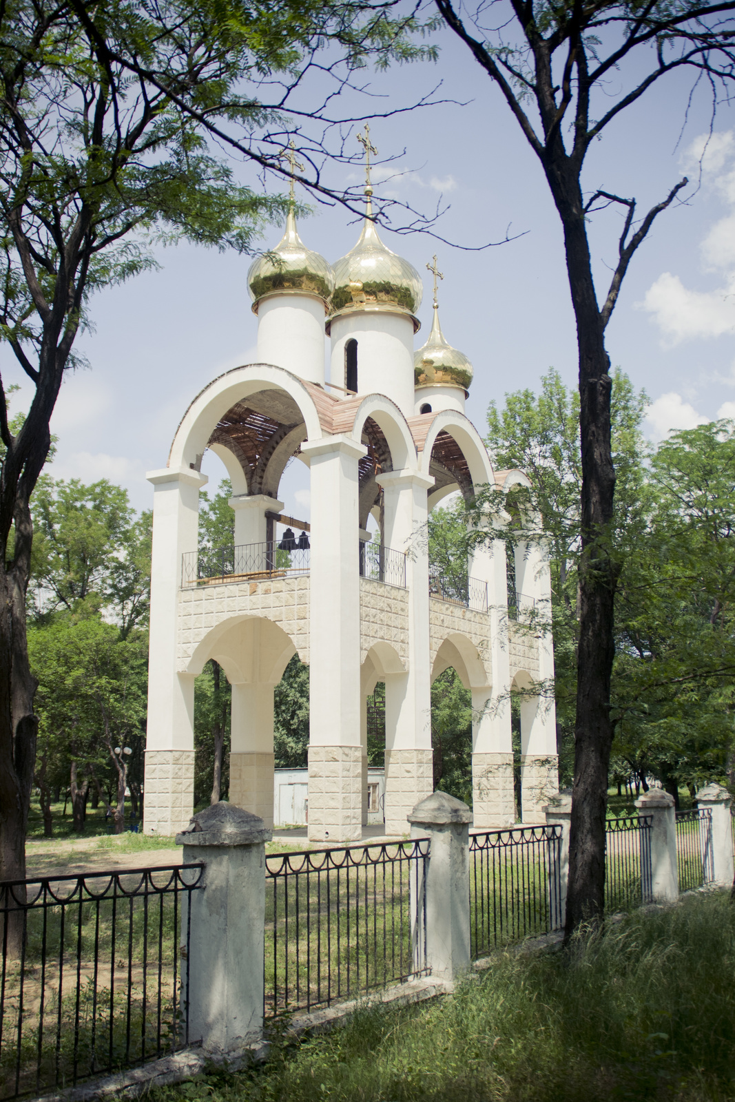 MG 2959134 Easy Resize com