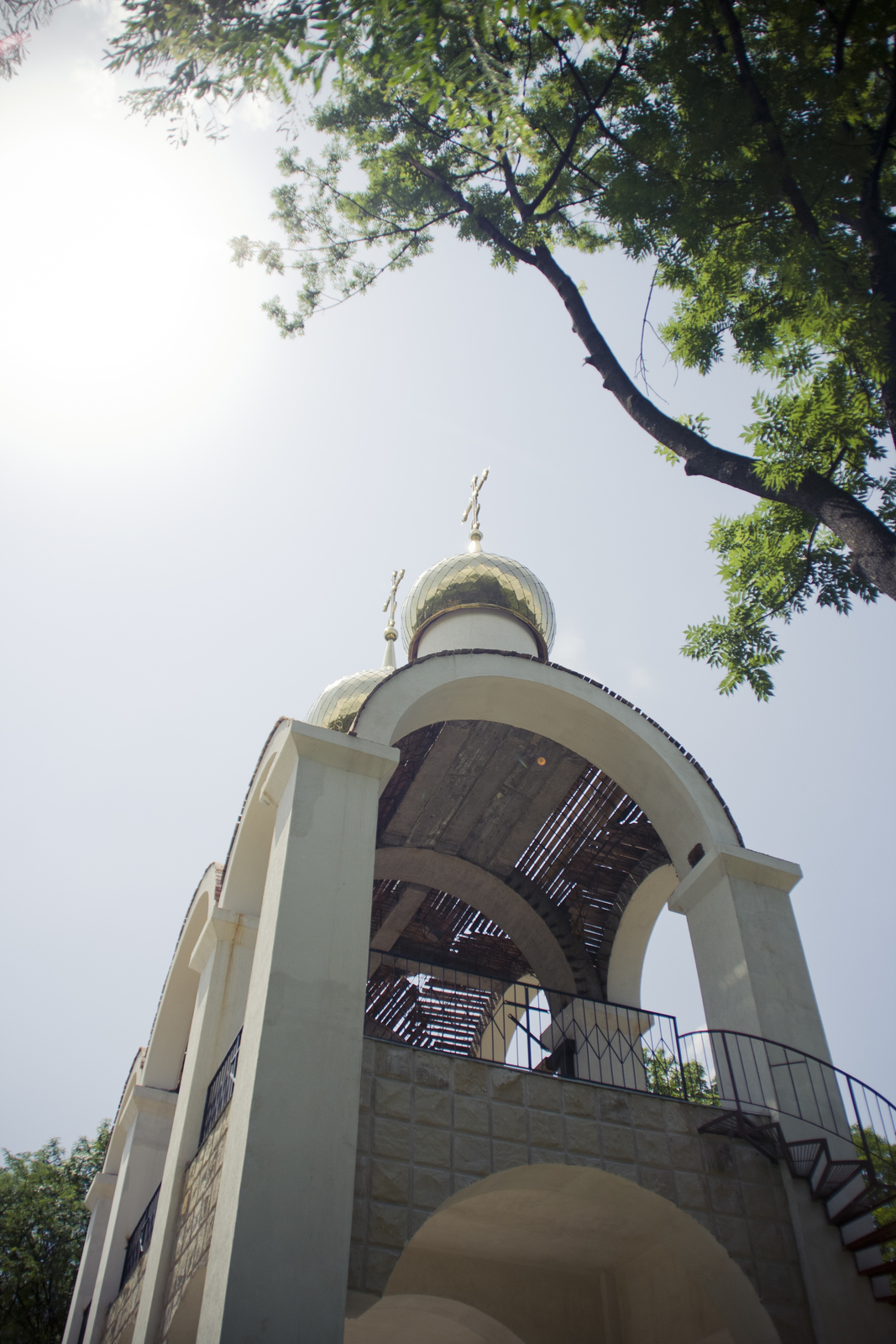 MG 2962137 Easy Resize com