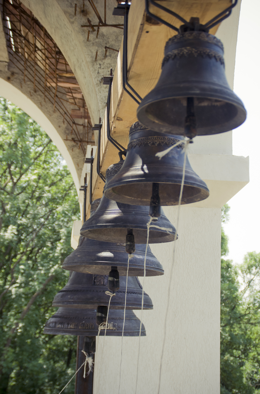 MG 2964138 Easy Resize com