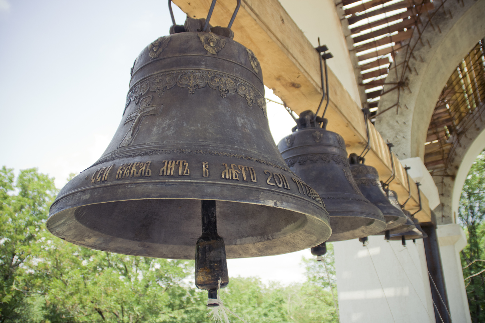 MG 2965139 Easy Resize com