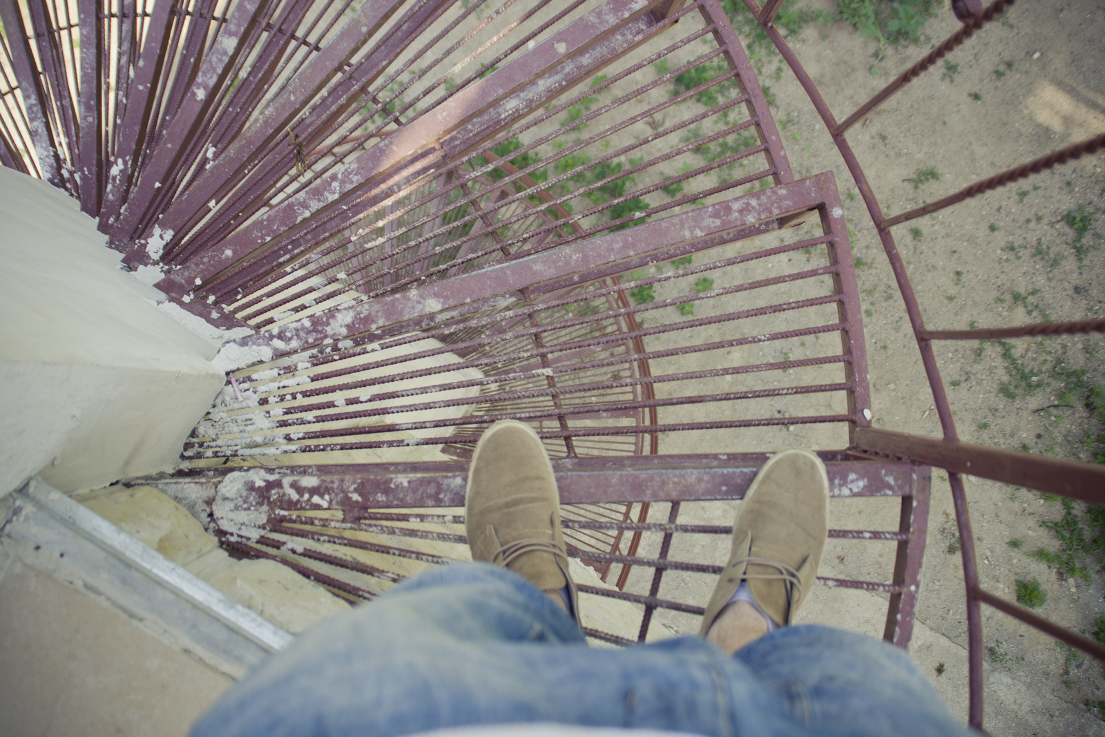 MG 2967141 Easy Resize com