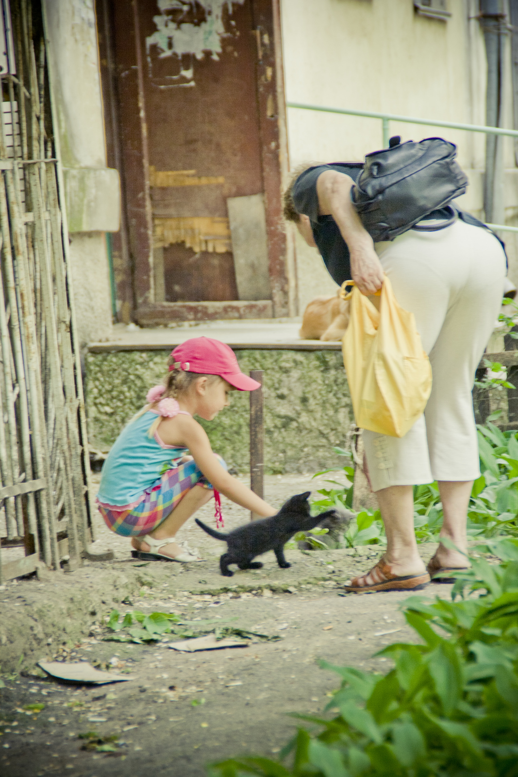 MG 2976144 Easy Resize com