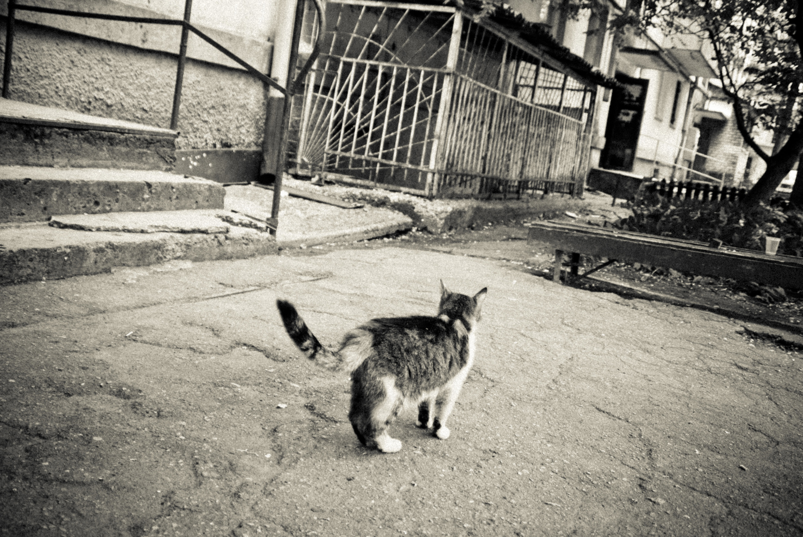 MG 2977145 Easy Resize com