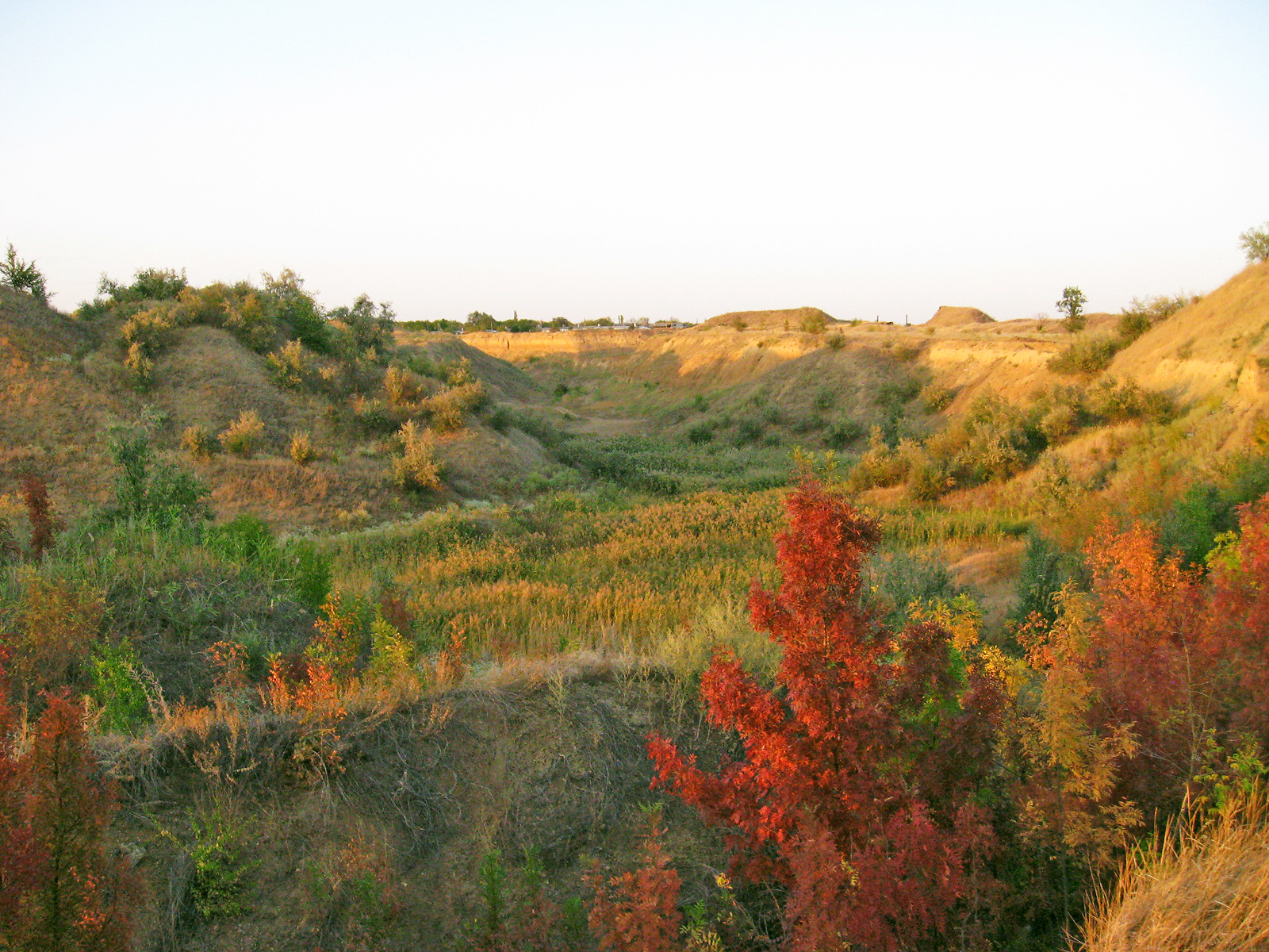 Карьер 2134330505