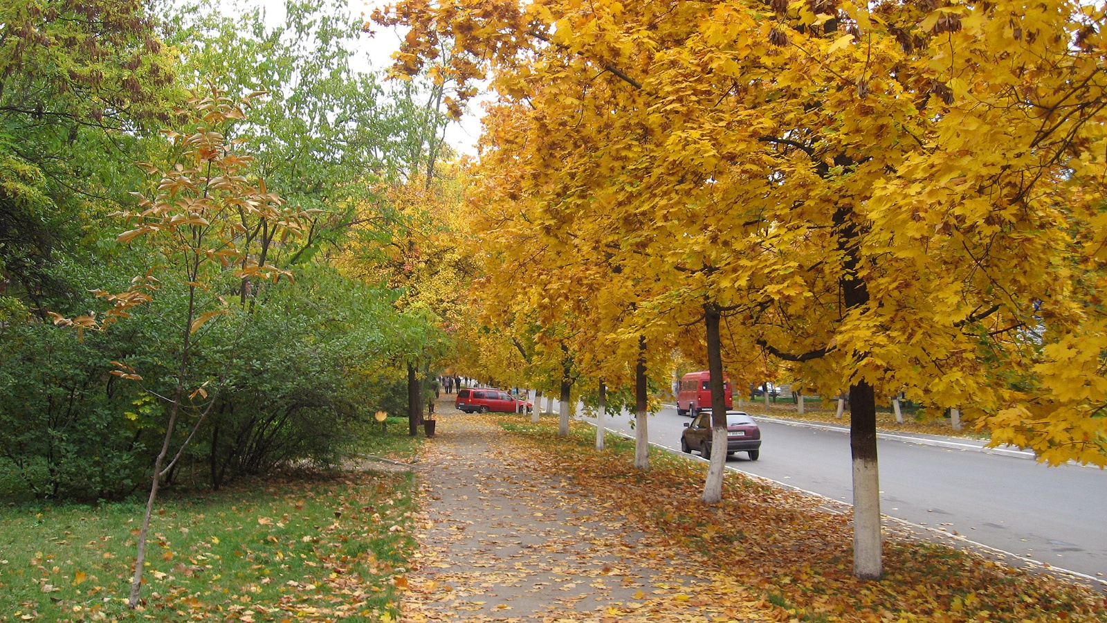 балка, 2 ая каховская