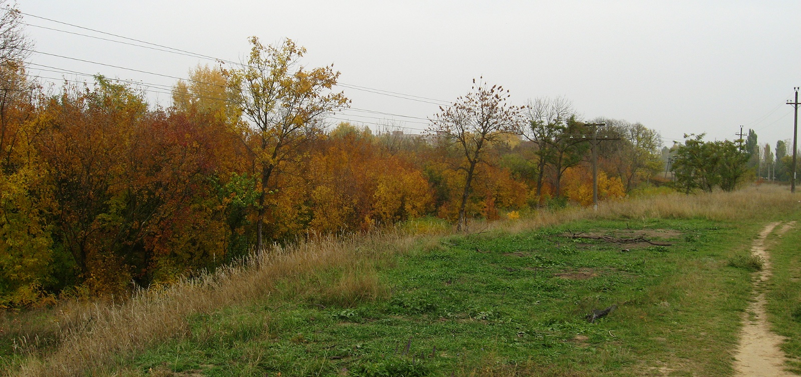 в посадке в октябре 07