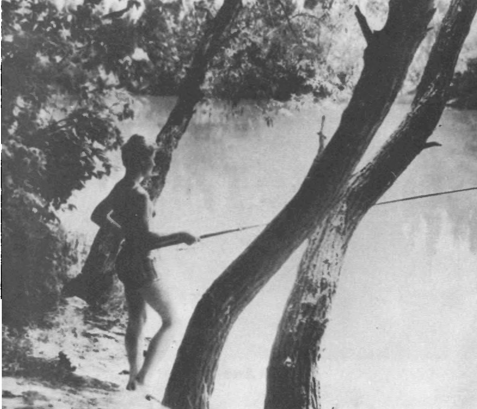 В воскресный день