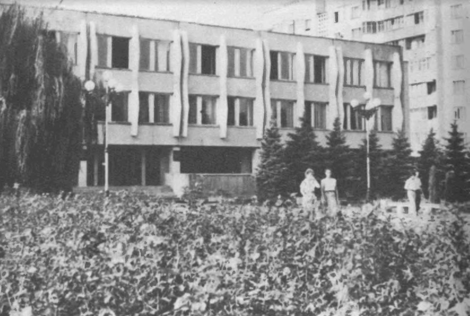 Городская библиотека