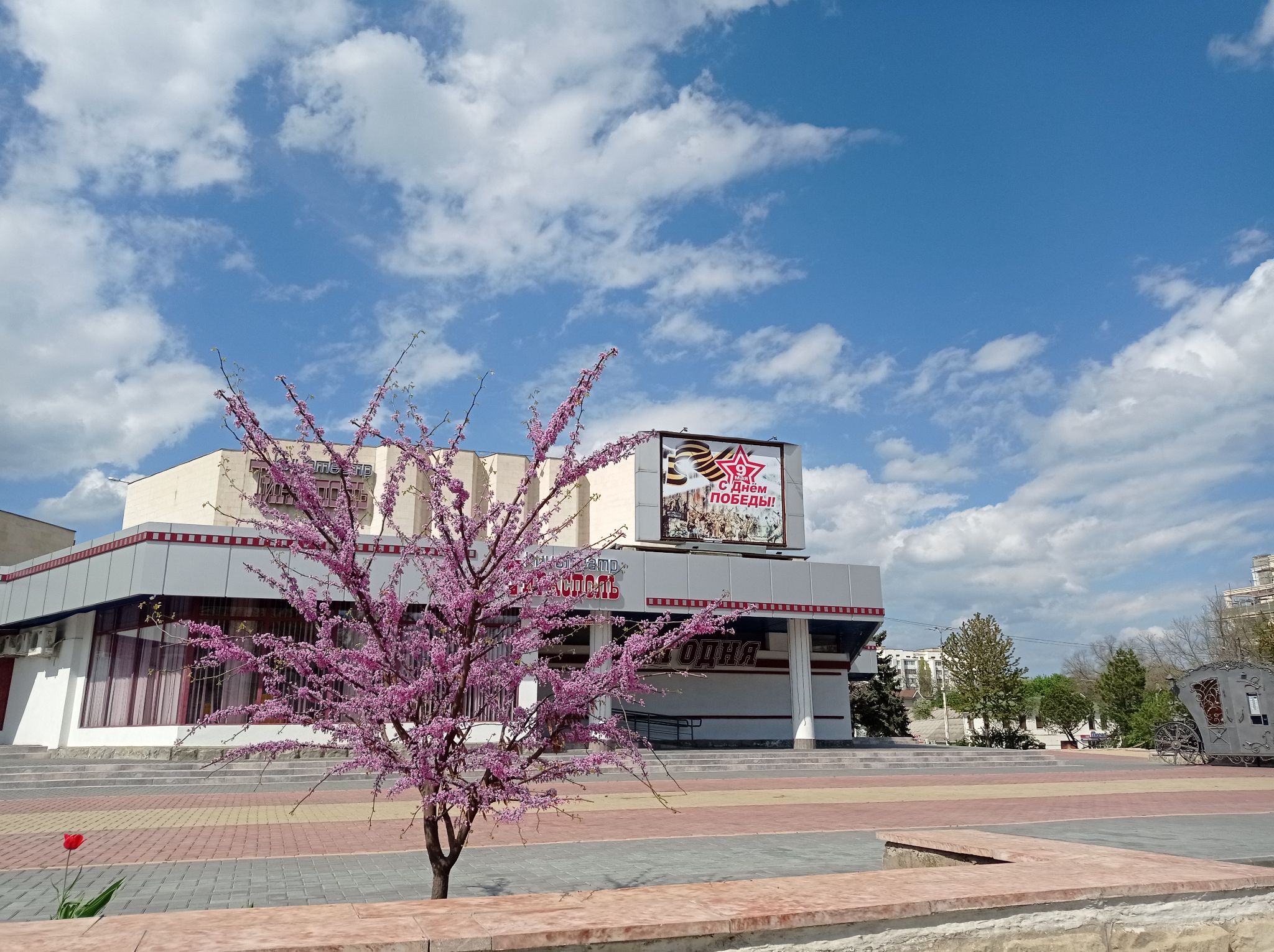 9 kinoteatr tiraspol